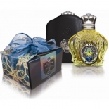 shaik-77-men-edp